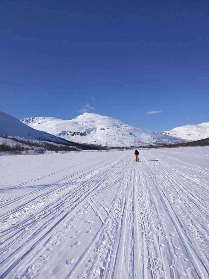 Lapphaugen Turiststasjon Villa Tennevoll Exterior foto